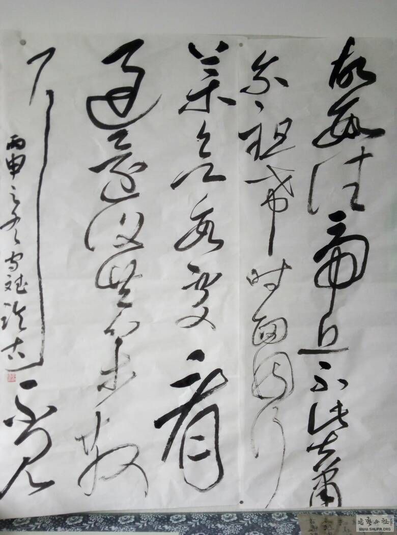 214831ippp5tubpjpbtvtp.jpg