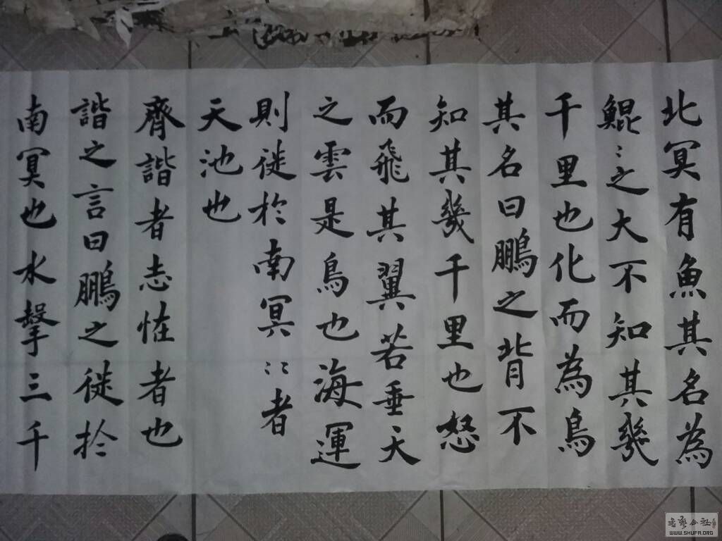 110349mon9xz9sutudwcon.jpg