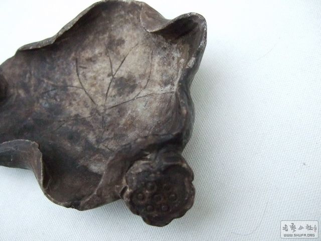 009.JPG