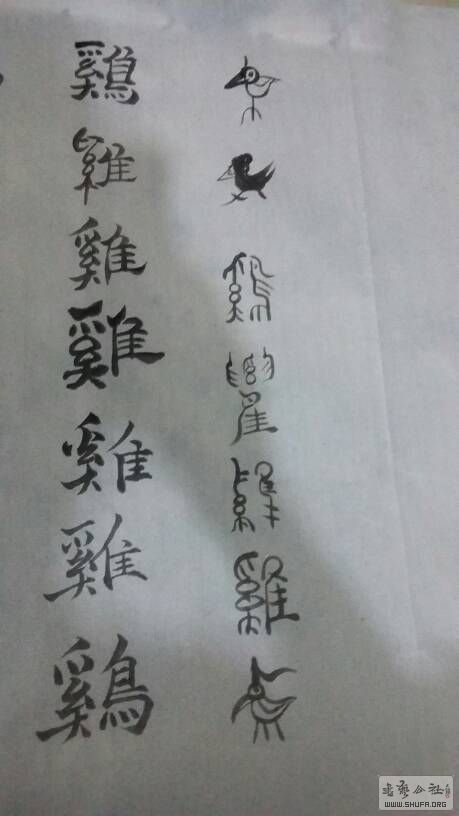 203411t4572h5cn250whtn.jpg