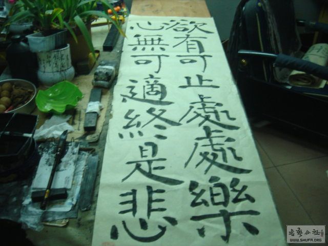 DSC01134 .JPG