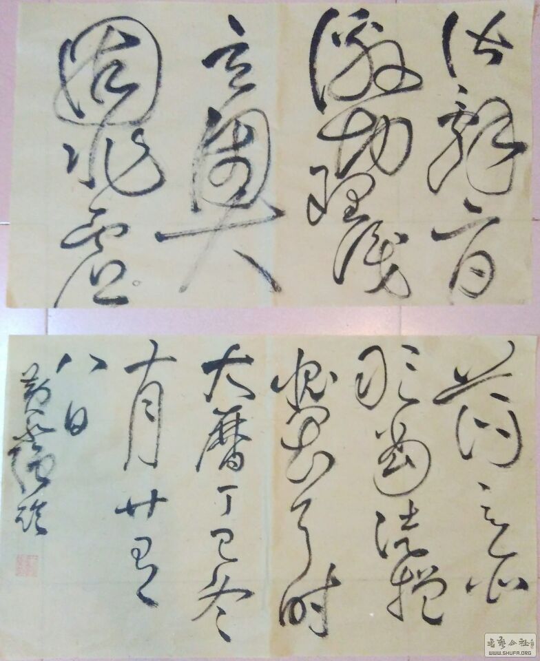 QQͼƬ20170207105106.jpg