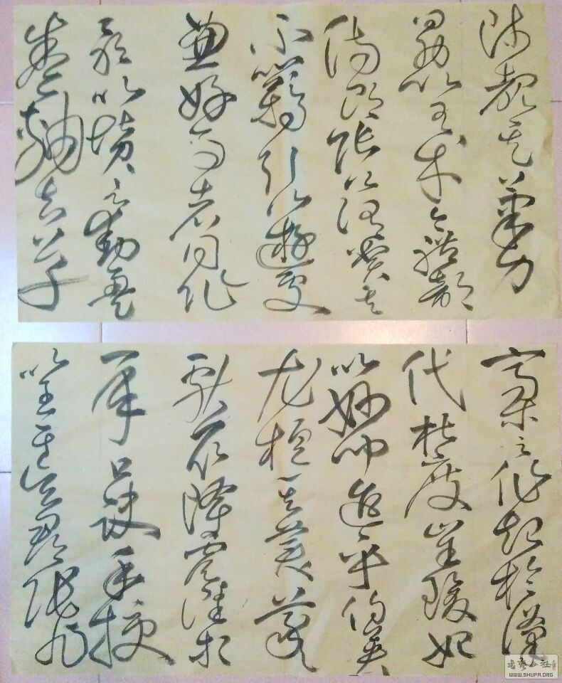 QQͼƬ20170207105024.jpg