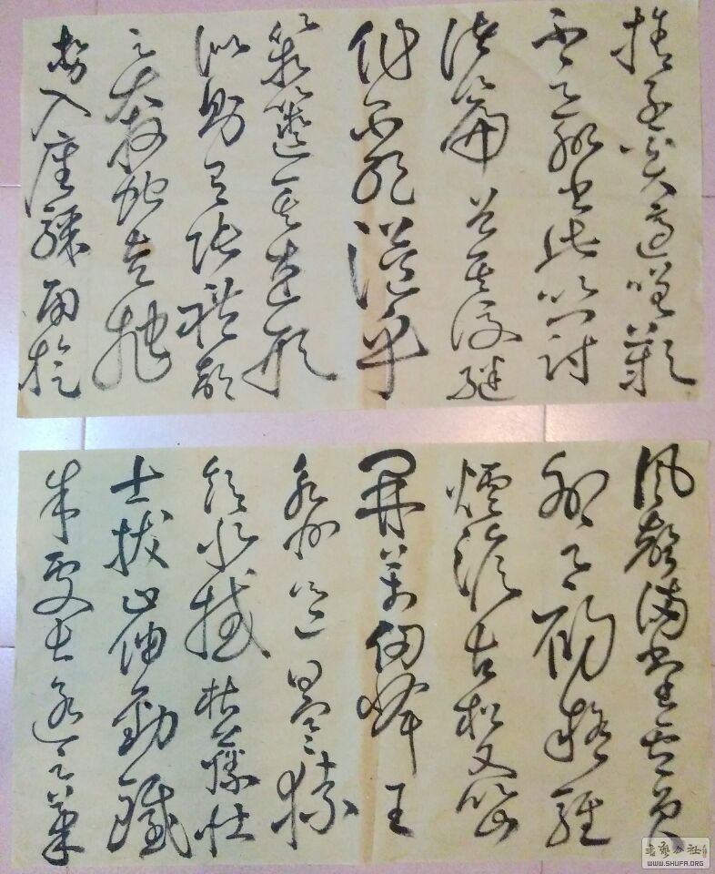 QQͼƬ20170207105044.jpg