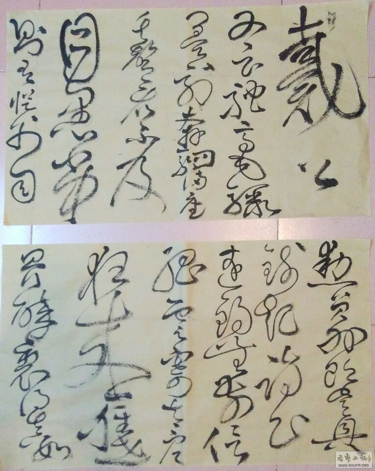 QQͼƬ20170207105101.jpg