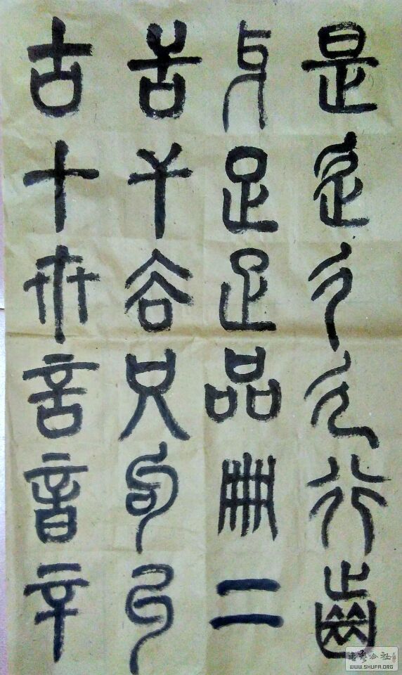 QQͼƬ20170209215001.jpg