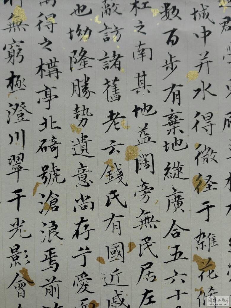 134922g5433pspst533335.jpg