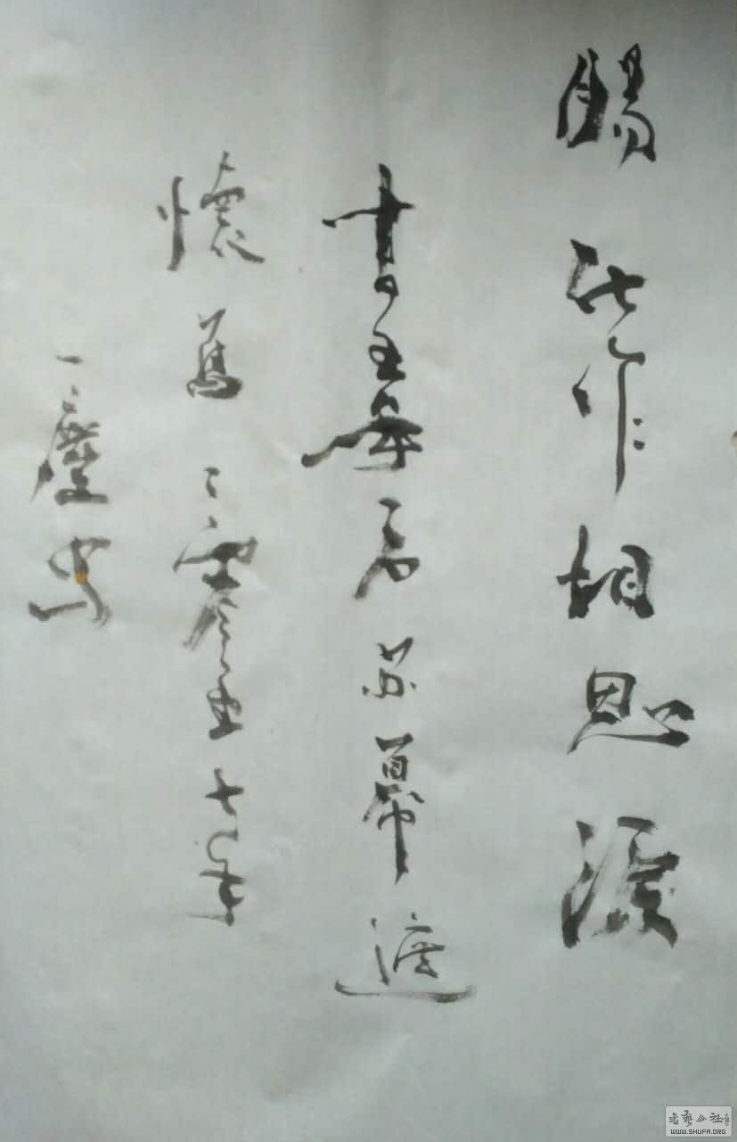 72134503010272356.jpg