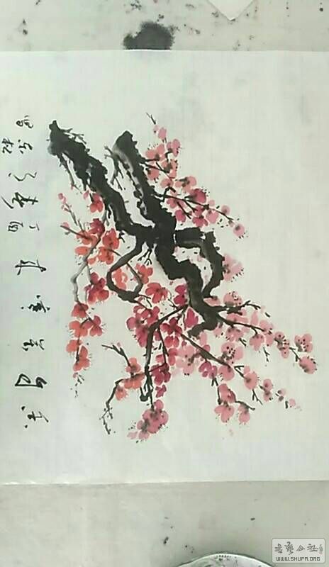 104445f1gejgw32g1cej0e.jpg