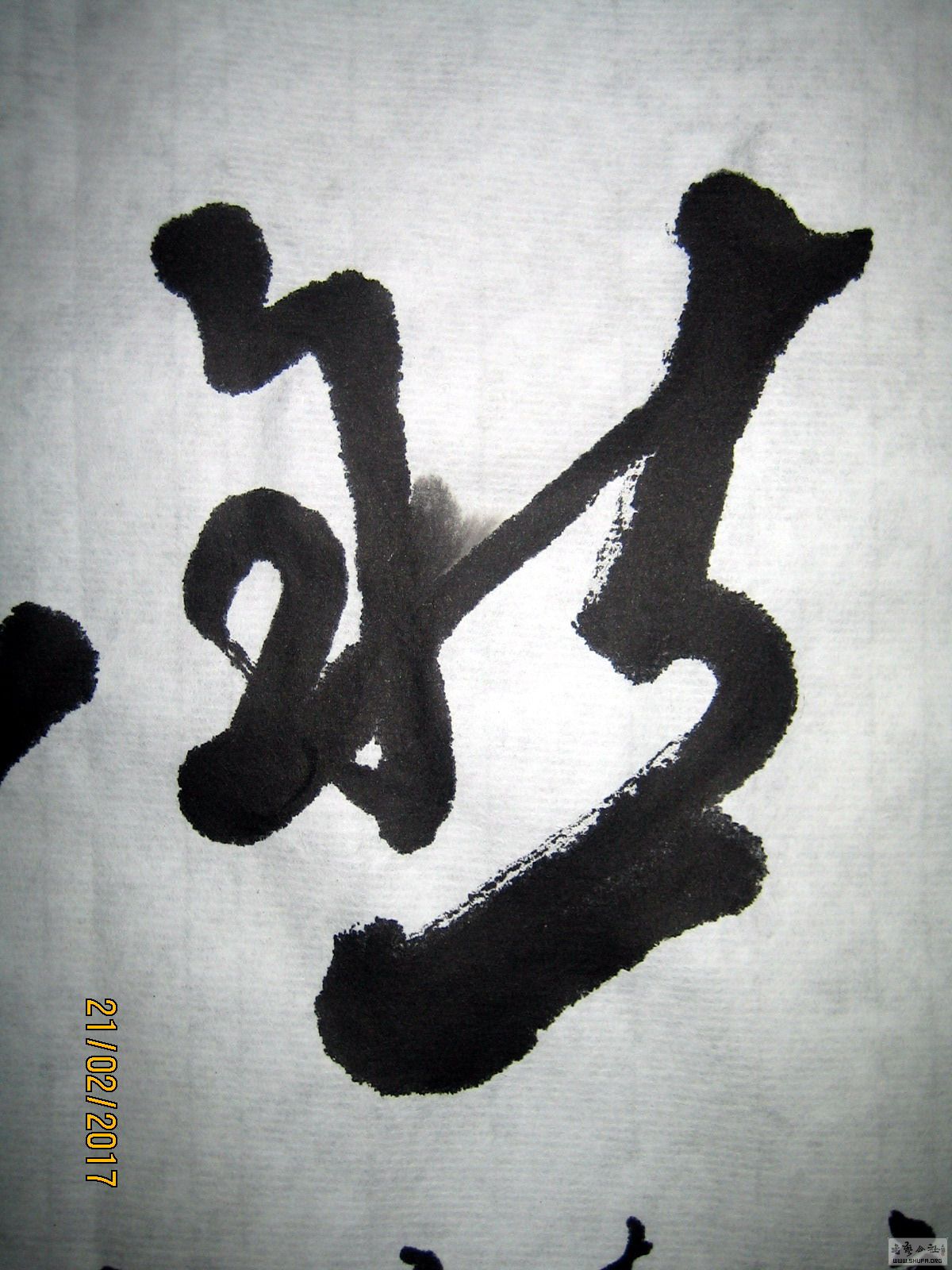 ɽ鷨-Ȼ3-1.JPG