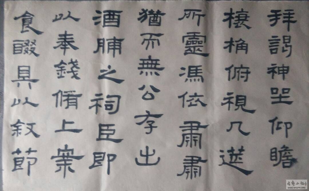 165452tro44orbrrxddlbb.JPG