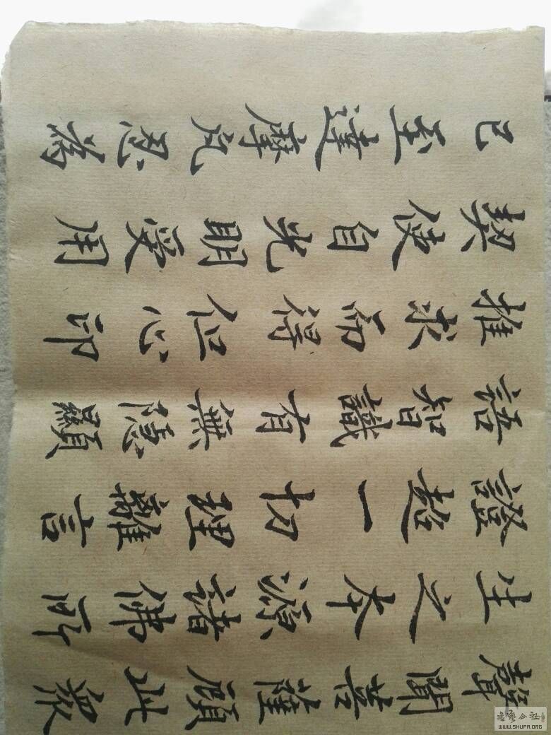 172752im4udm4eg9squ1fd.jpg