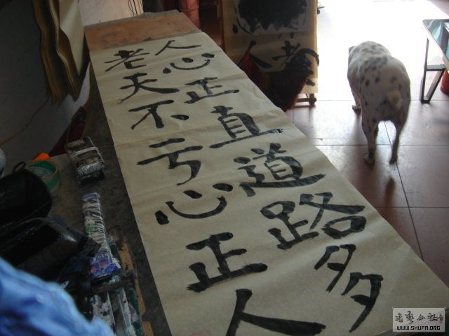 DSC02019.JPG