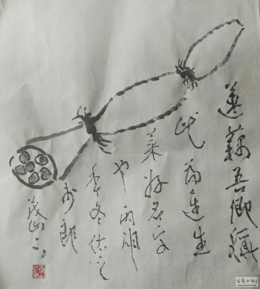 ֮鷨׭Ʒ