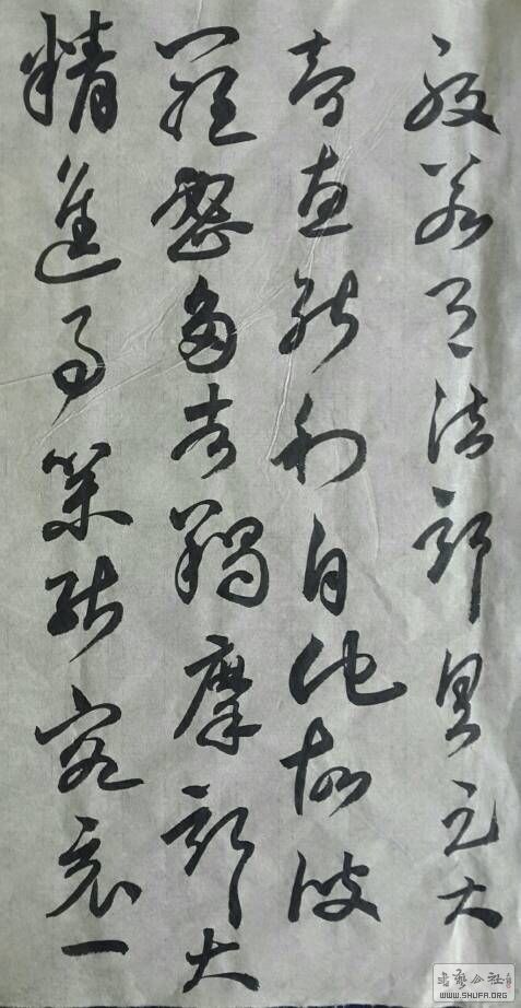 124617vskfkeuzu3fzt8oq.jpg