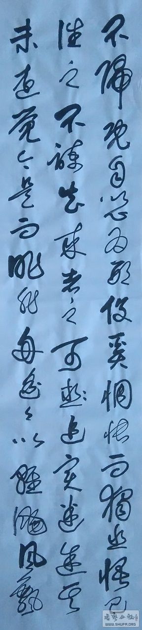 17040206.JPG
