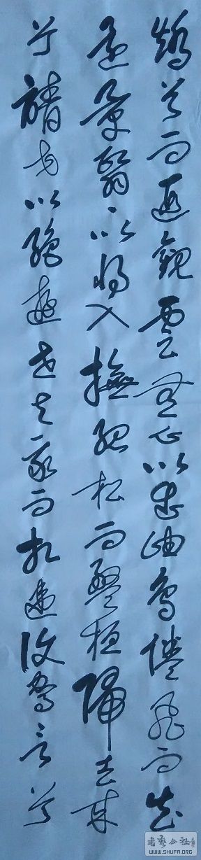 17040209.JPG