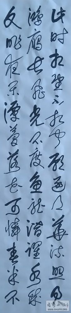 17041509.JPG