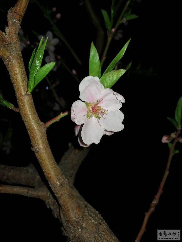 190410gga09ejhwgj91ore.jpg