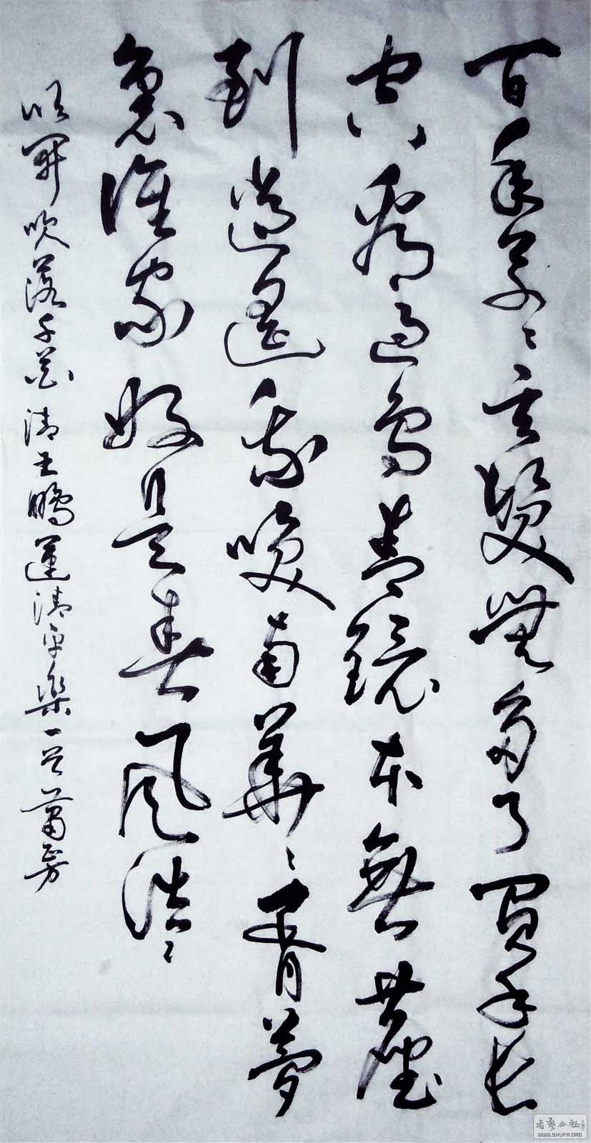 20511a.jpg