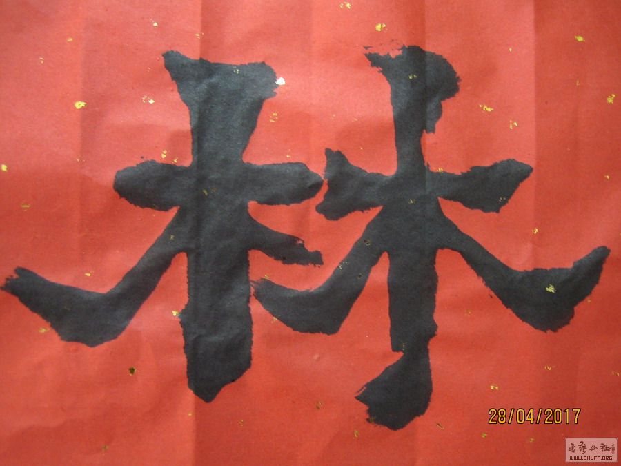 ɽ鷨-ִů ҽ3.JPG