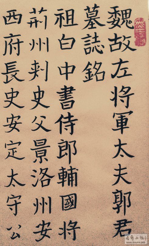 006gCQkdzy7b20gy01937&amp;690.jpg
