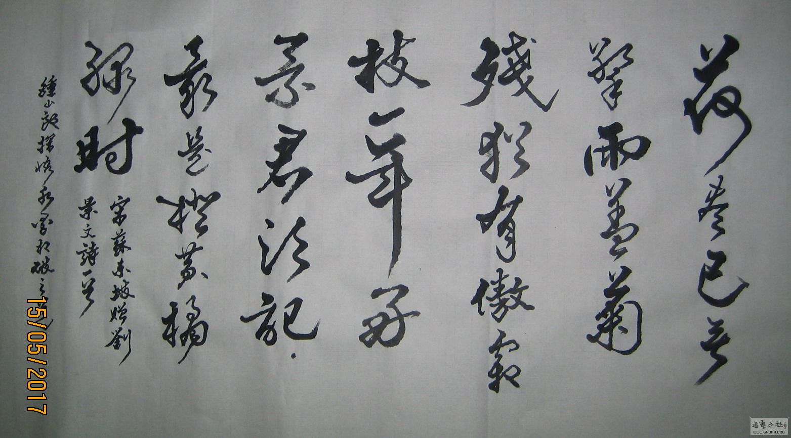 ɽ鷨-ɾǣ2017.51.JPG
