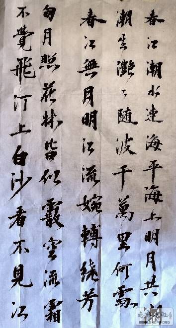 203506f84ovcdtdqlq4hll.jpg