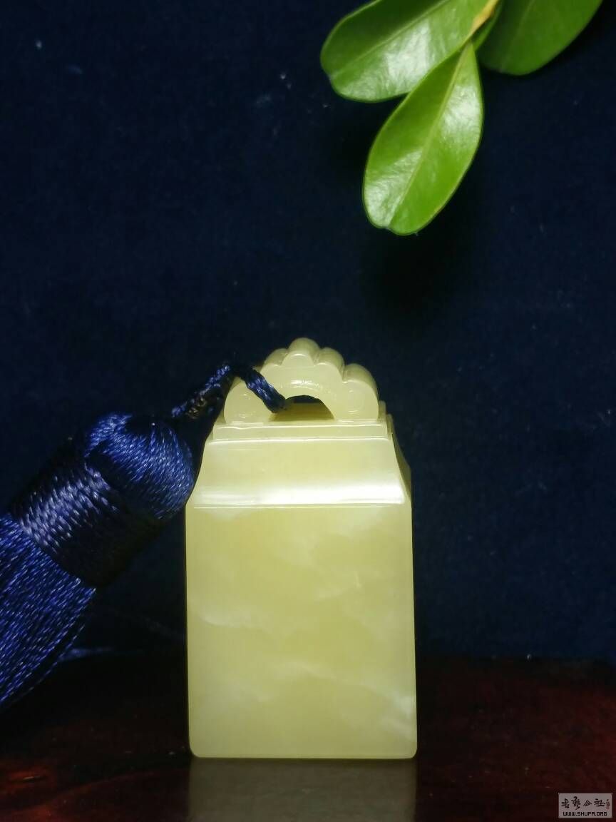 092025a5elhpp9jwgh55pj.jpg