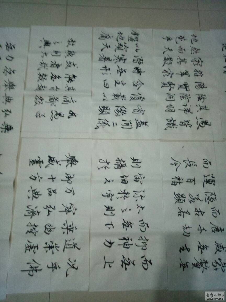 193119hz1bhfg2gzq9zqy1.jpg