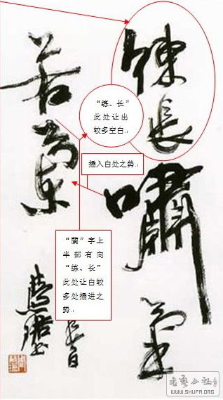 鷨-·-Ҵ.jpg