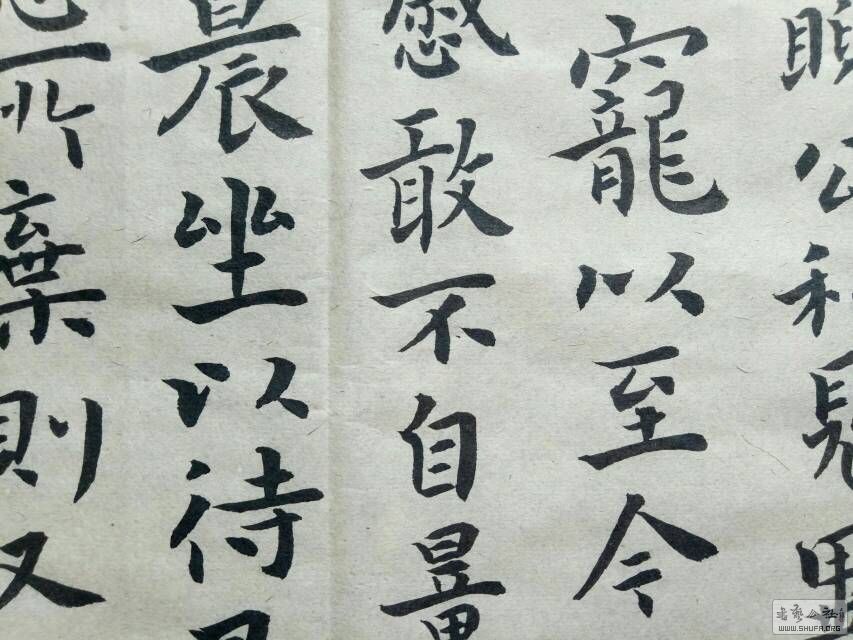 083754f6zv0r3xfzyrtfv0.jpg