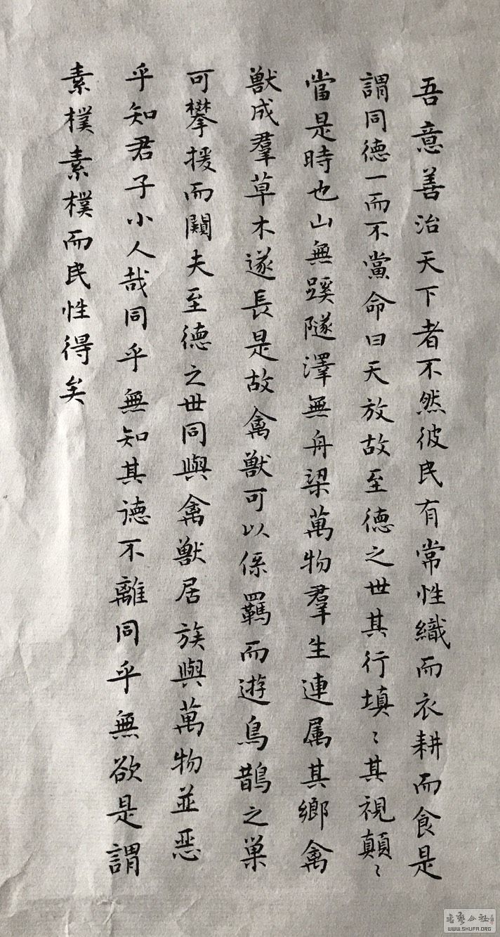 154510qlyt6xz1w981hg6k.jpg