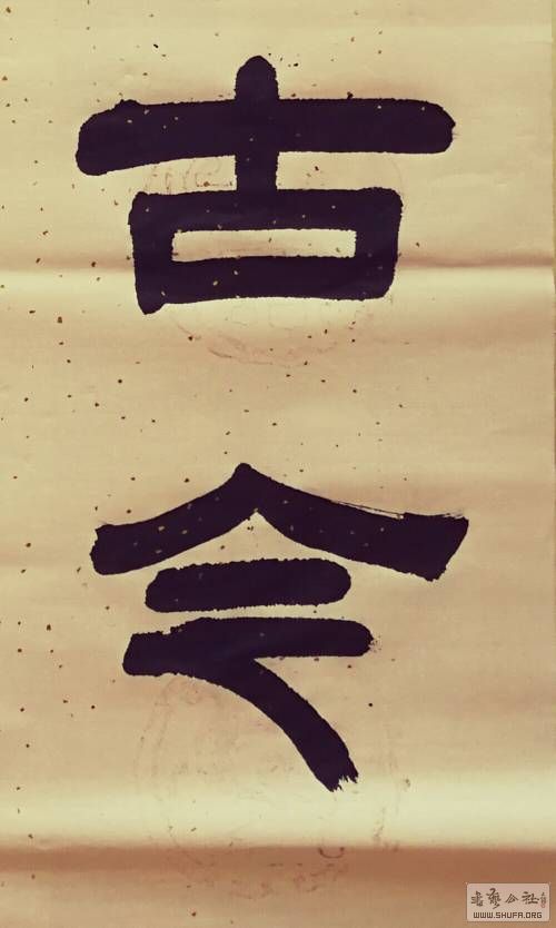 130138dmm699mpm39rq4nf.jpg