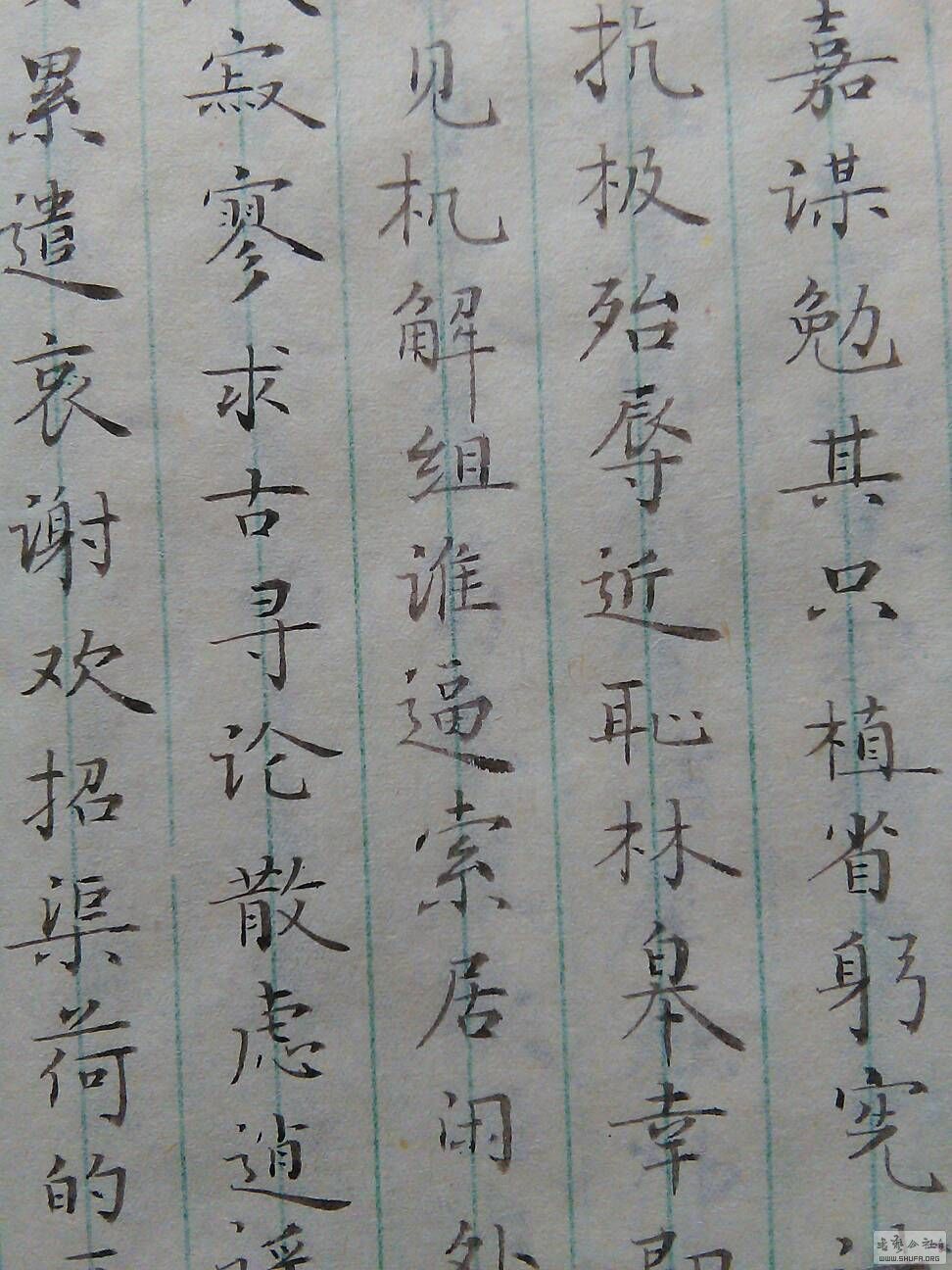 210026ju26gc5spgy956u9.jpg