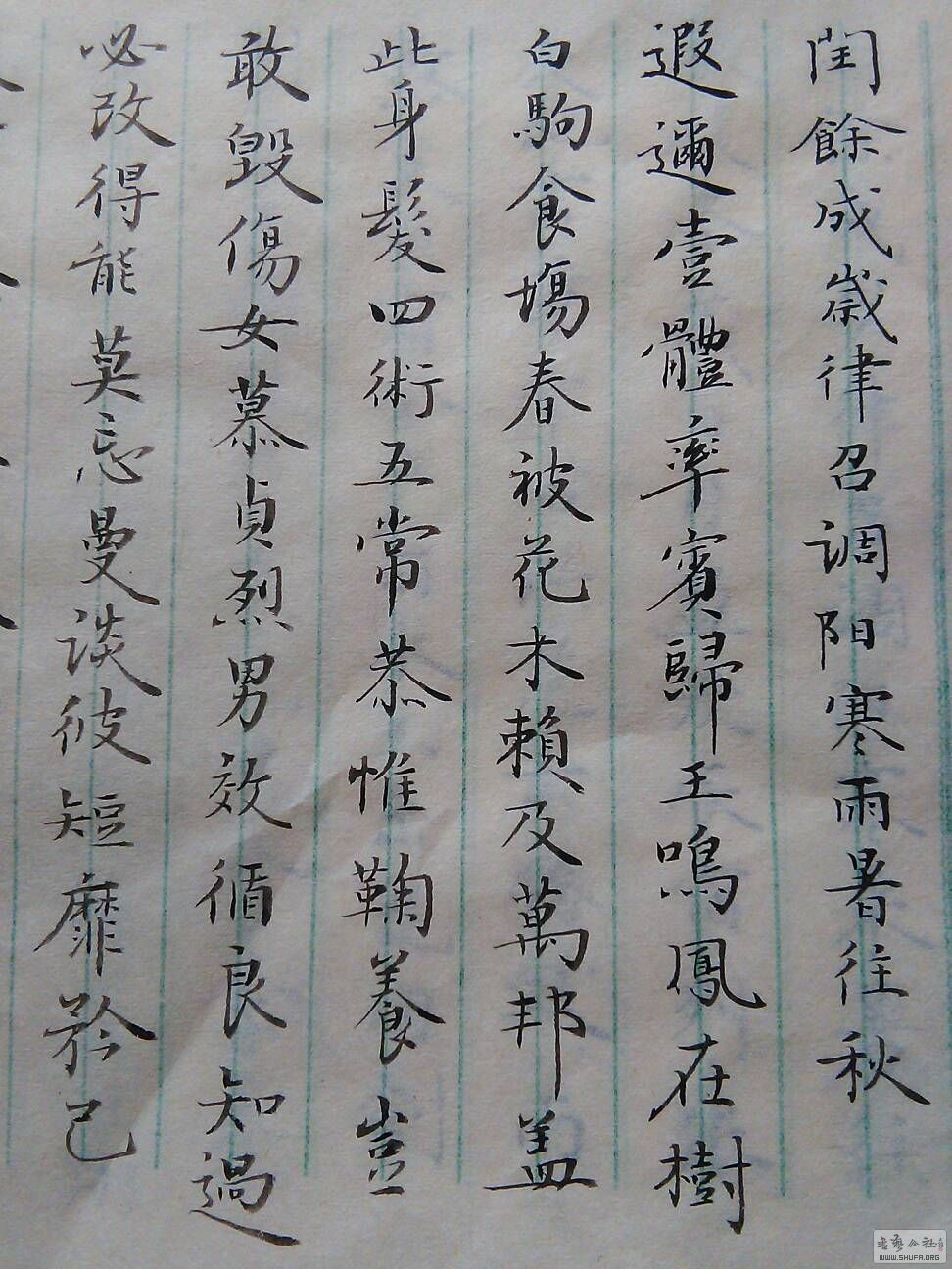 210031ths49ttmxxmw4hwa.jpg