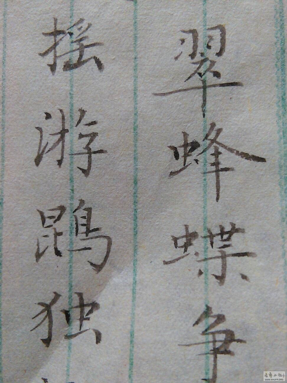 210032gvcvkpkv4d9v1wwz.jpg