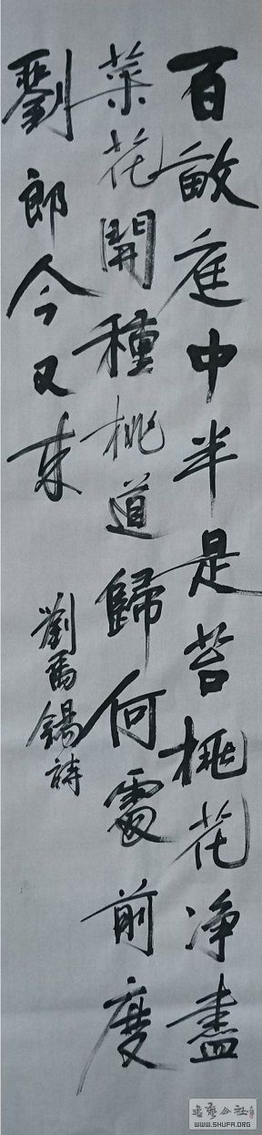 17072904.JPG