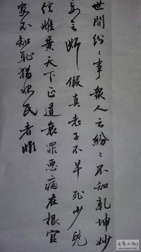235232f66sci58igg1a8ss.jpg