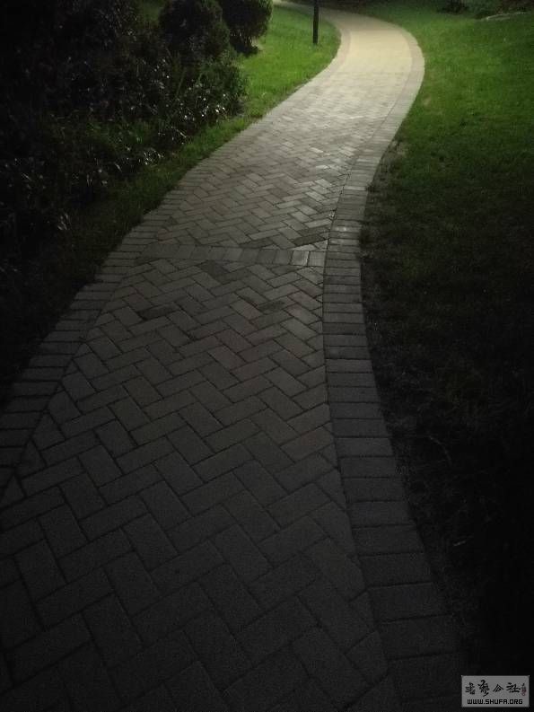 222909lmiu2xsgoos2bwlm.jpg