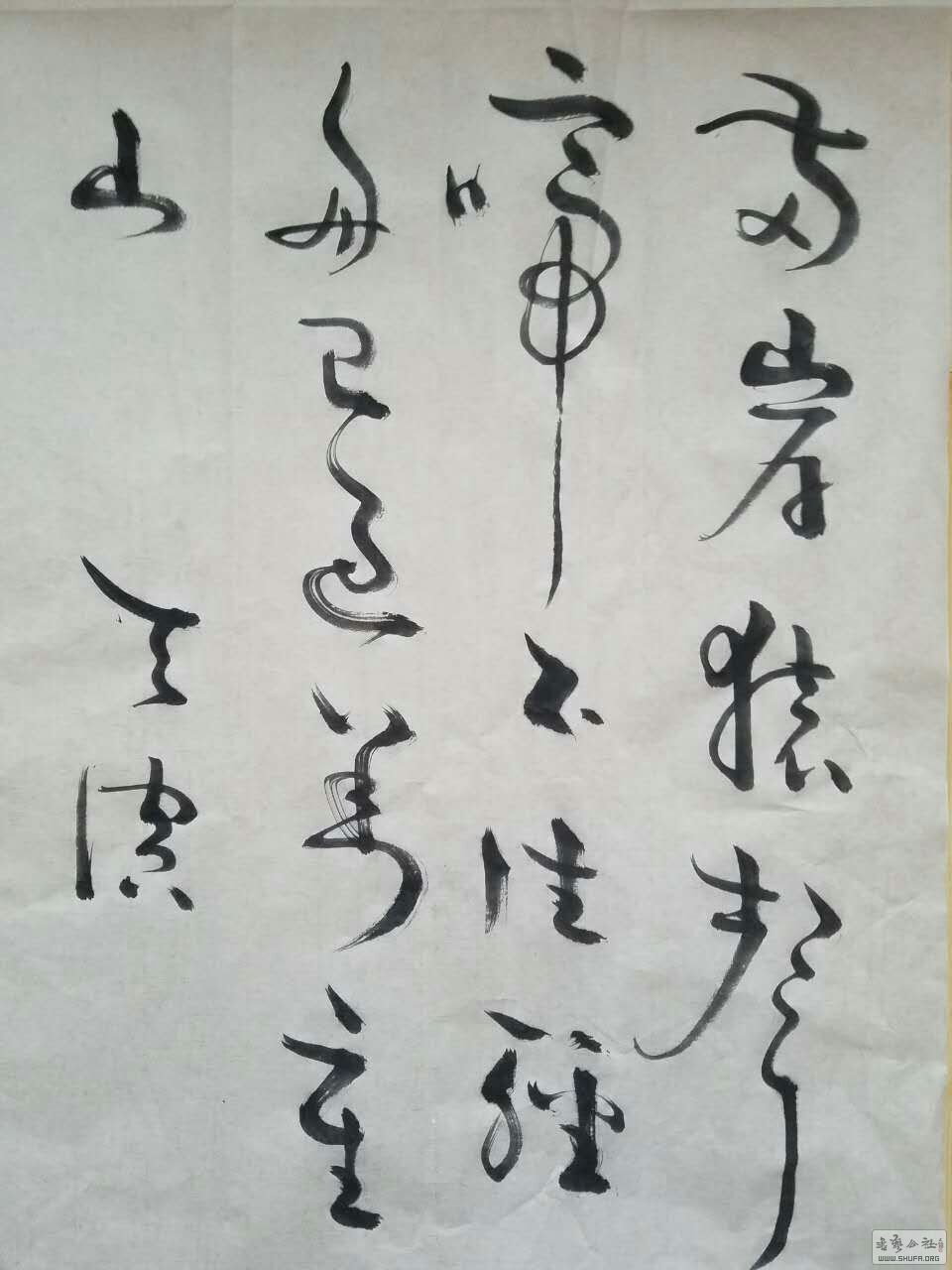 800028001463307323.jpg