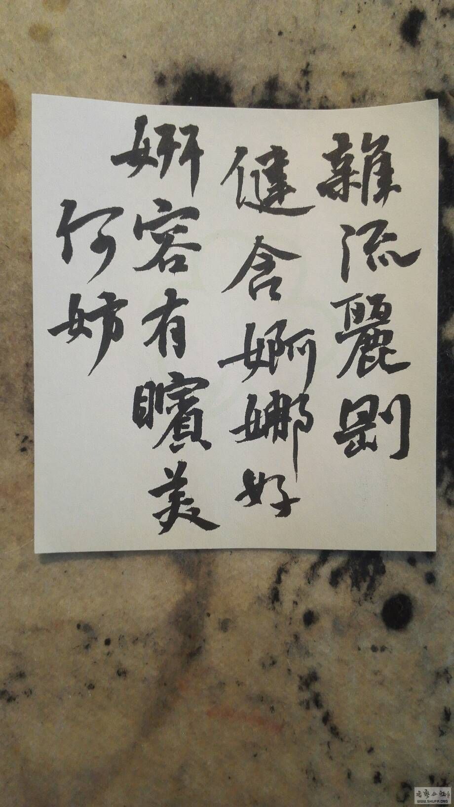 160344wzknl111kgqdkky2.jpg