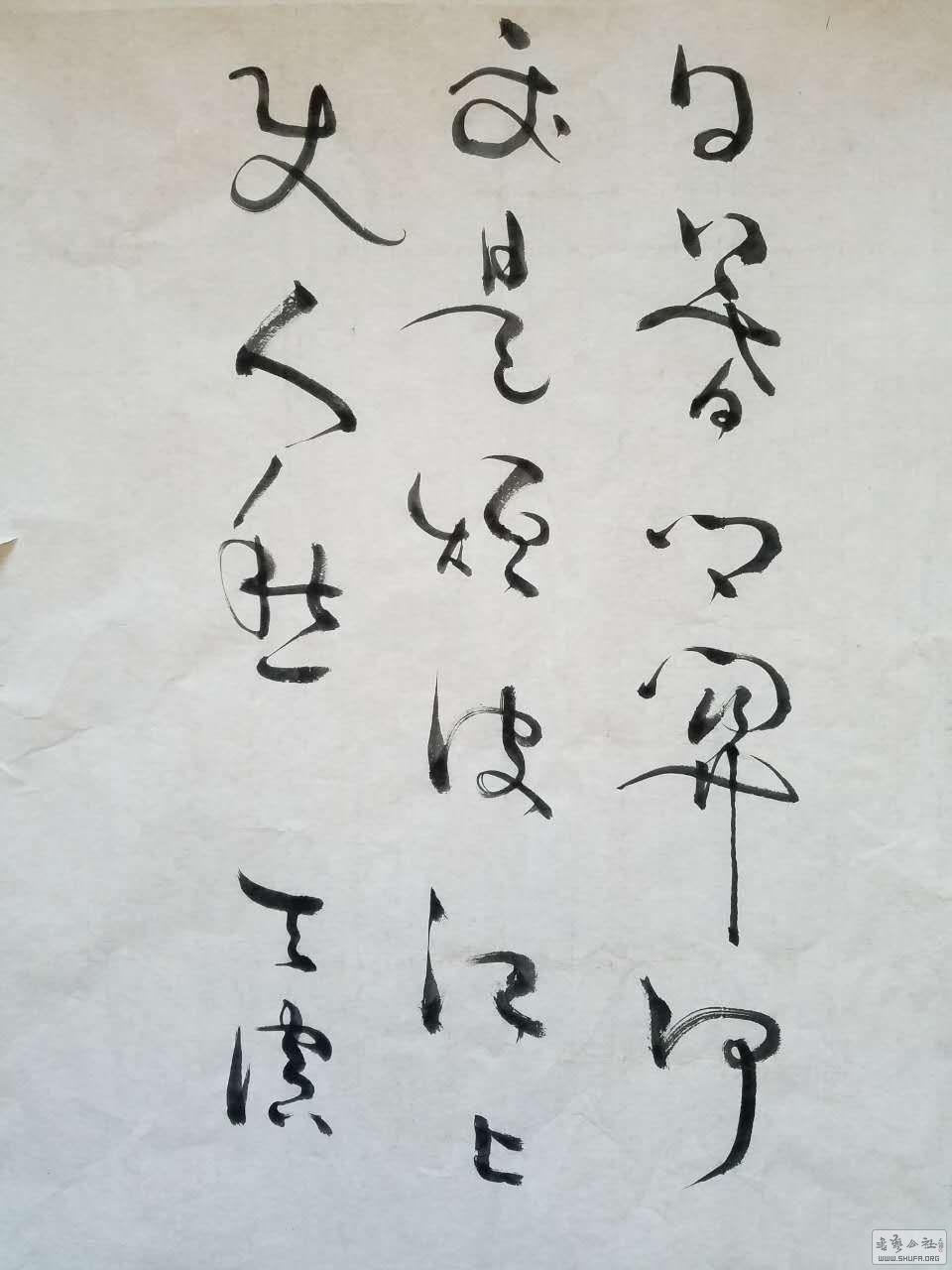753473550152177611.jpg
