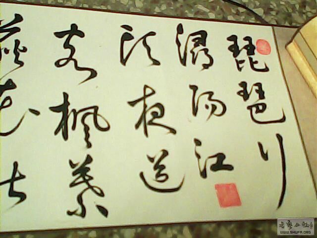 223058kydqmfgr8y486xux.jpg