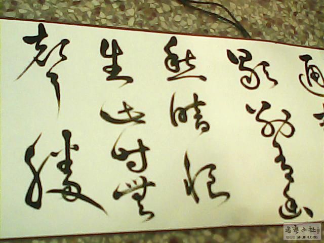 225051p88k8b6z86w866bz.jpg
