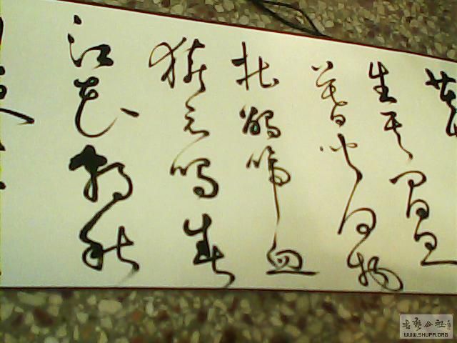 230313i2pykyylk4txsx4n.jpg