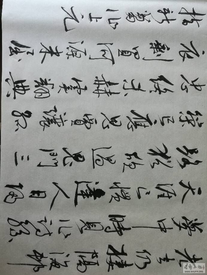 180937qy7qhxqxy7arqsrg.jpg