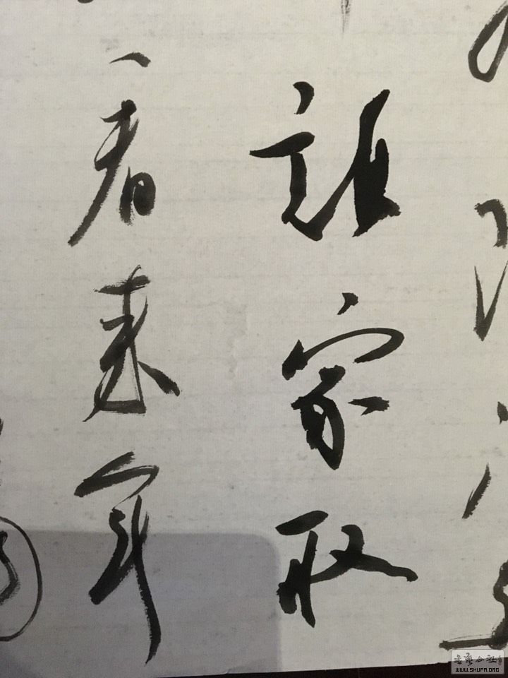 190430vccohkai3luohhf2.jpg