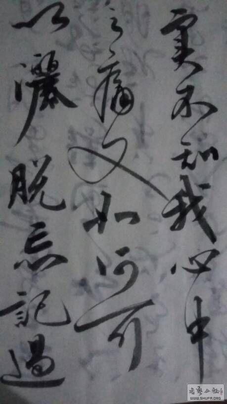 002014zsz3ojj8ei0sssjb.jpg
