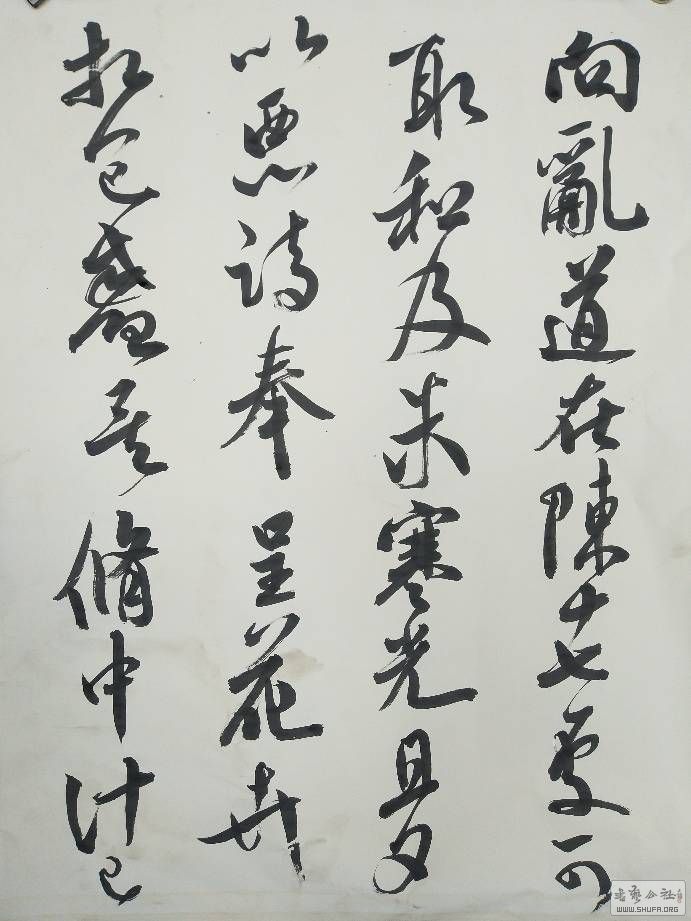 130006oajaac3qq8pef9ap.jpg